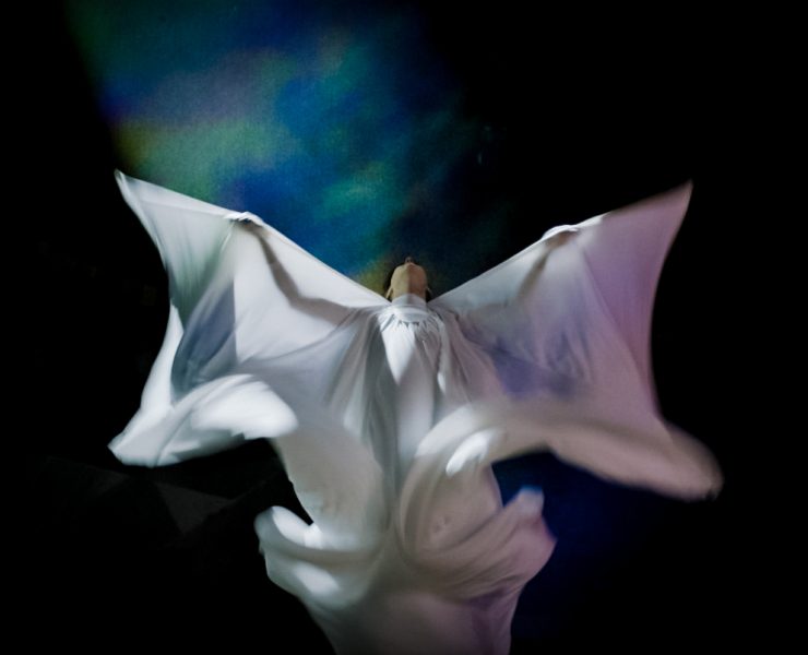 The Extraordinary Miss Flower